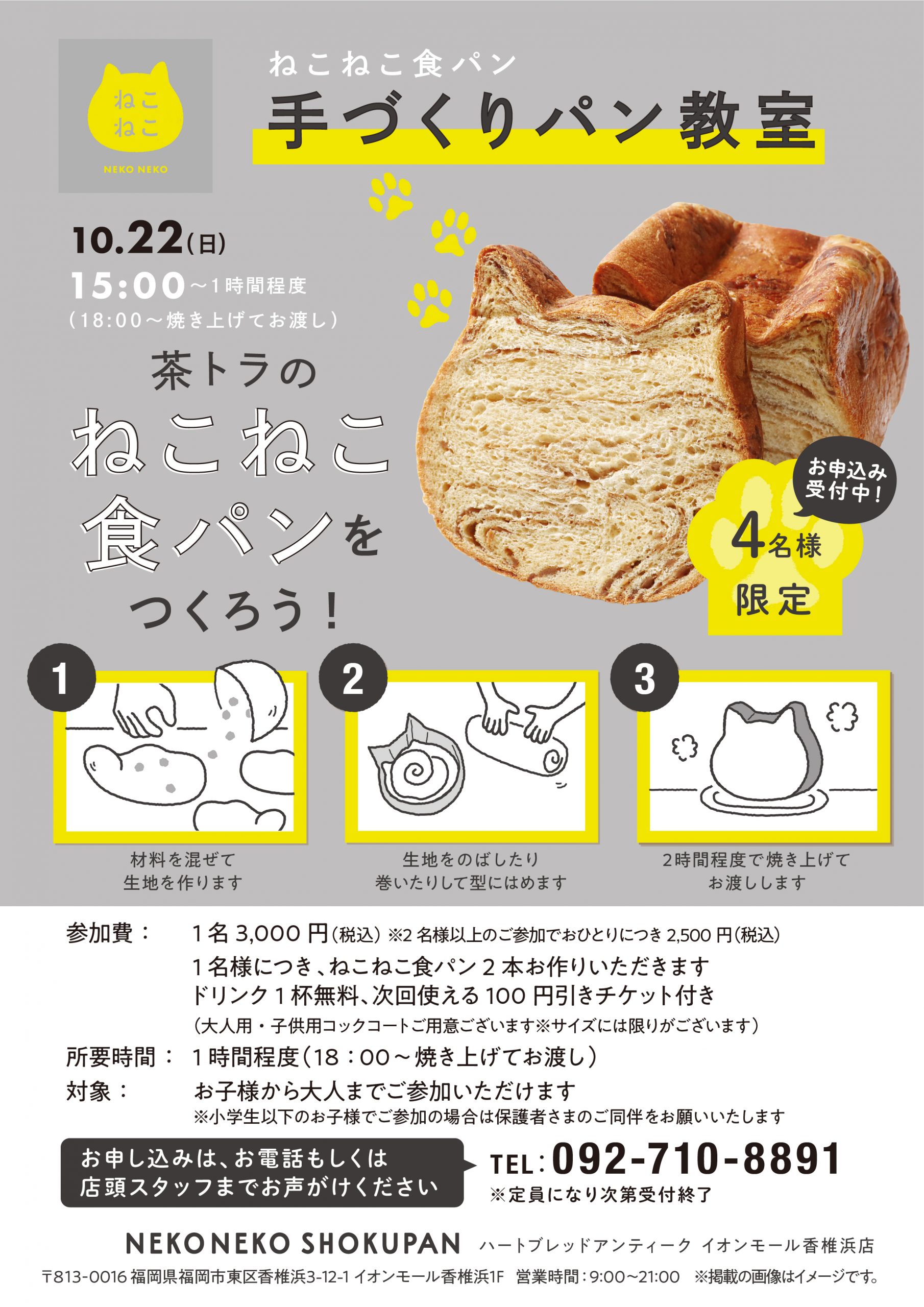 オリジナルのねこねこ食パンを作ろう🐱】10月 パン教室のお知らせ